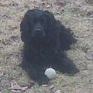 Meet your Posher, Jill